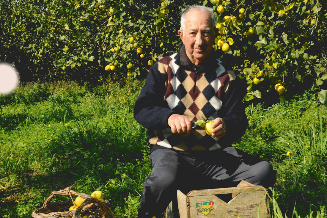 Organic Lemons: the juicy story of Lemony Lemonade