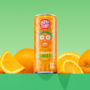 Orangeade Cans [24 Cans] Organic