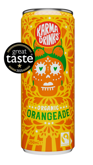 Orangeade Cans [24 Cans] Organic