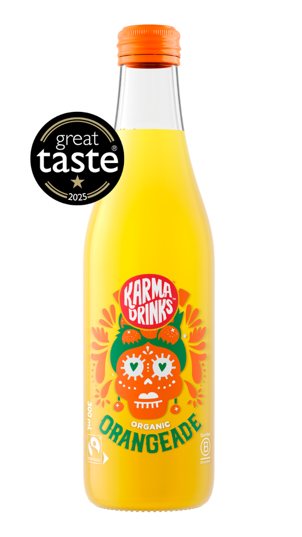 Orangeade [24 Bottles] Organic