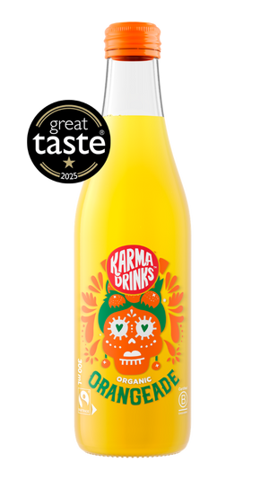 Orangeade [24 Bottles] Organic