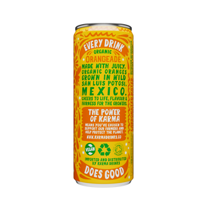 Orangeade Cans [24 Cans] Organic
