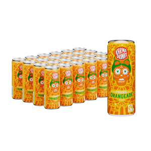 Orangeade Cans [24 Cans] Organic